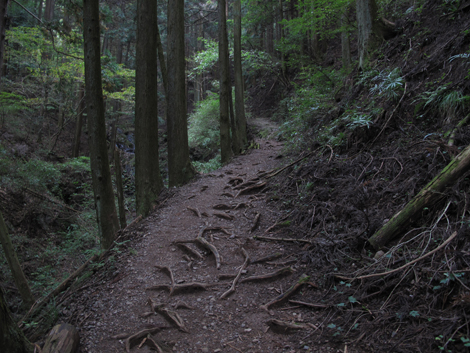 20151021hike (20)